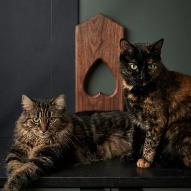 Cookie et Nora