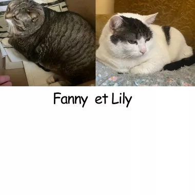 Fanny et Lily (1/3)
